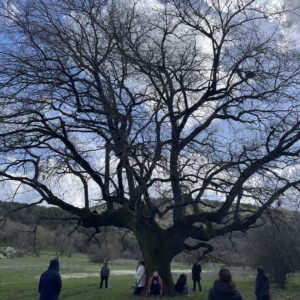 Retiro Disfruta, Sana y Manifiesta mayo 2026 oferta