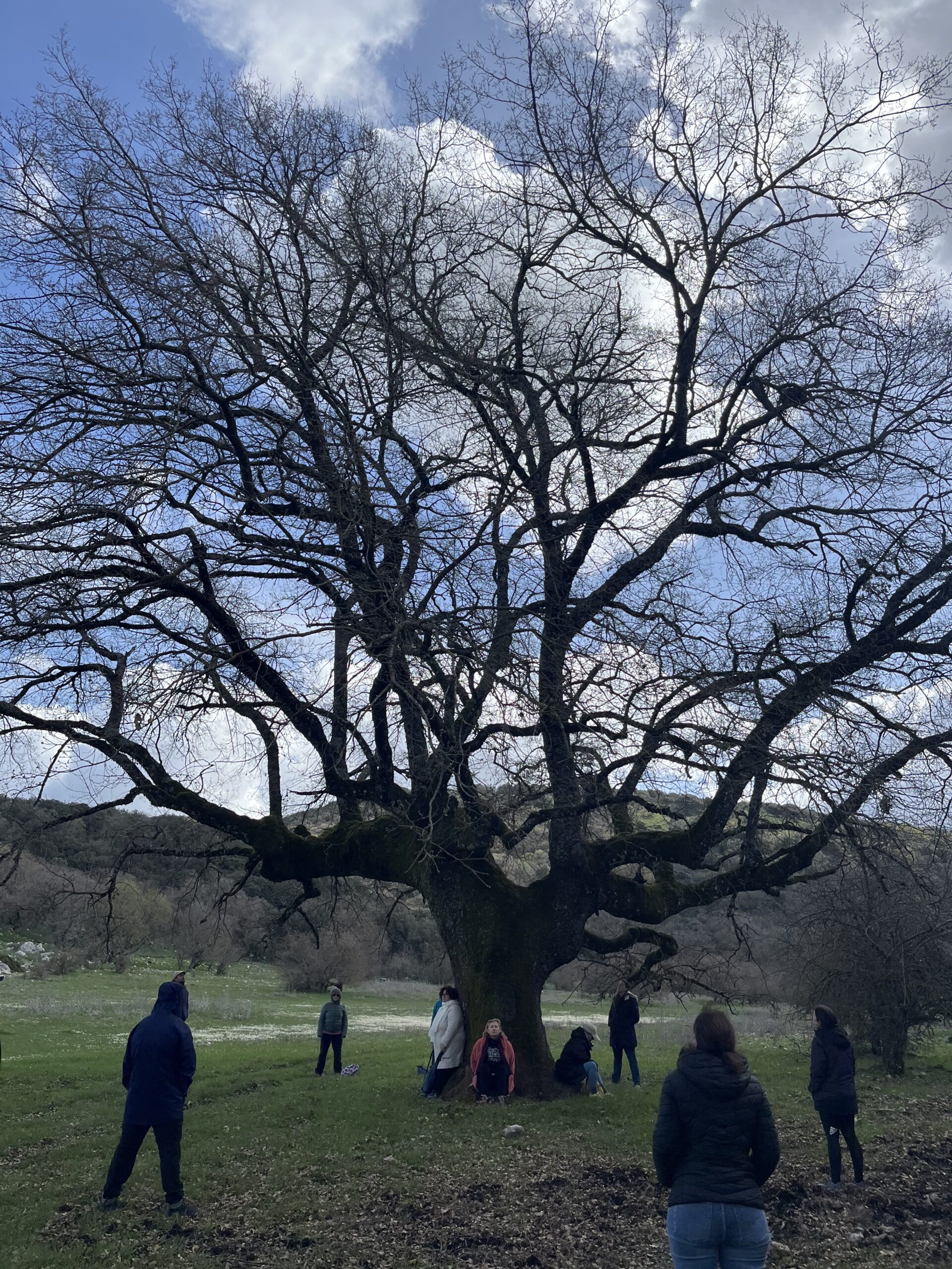 Retiro Disfruta, Sana y Manifiesta mayo 2026 oferta