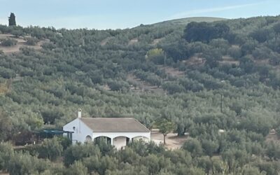 RENOVAR LA CASA INTERIOR